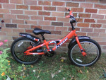 Boys 20" Trek Bike