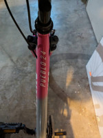 Nishiki kids mt.bike