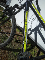 RoadMaster Granite Peak Bike