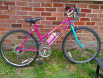 Woman's/Girls 26" Bike