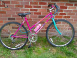 Woman's/Girls 26" Bike