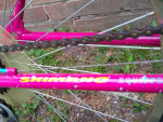 Woman's/Girls 26" Bike