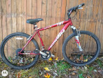Men's Schwinn 26"