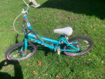 small childs bike