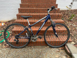 Nishiki Montour womens hybrid road bike