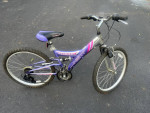 Next Tiara pro girls 24” mountain bike