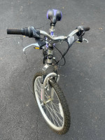 Next Tiara pro girls 24” mountain bike