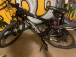 Schwinn