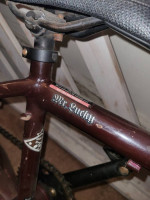 Diamondback mr lucky 2006