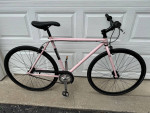 TREK EARL SPLIT TUBE- MEDIUM SINGLE SPEED