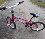 Mongoose Bike