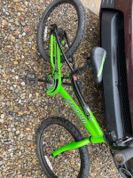 Boys 20in Specialized