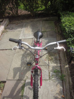 Mongoose- Mt. Grizzly Girl's 20". 7 Speed Mountain Bike