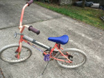 MAGNA 16 inch GIRLS BIKE