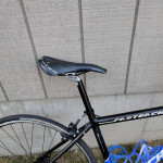 Schwinn Fastback road bike