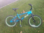 Schwinn Falcon 20" Boys Bike