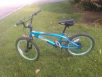 Schwinn Falcon 20" Boys Bike