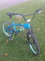 Schwinn Falcon 20" Boys Bike