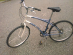 Bicycle Fuji Regis Hybrid Bike