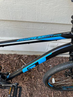 XL GT aggressor pro bike
