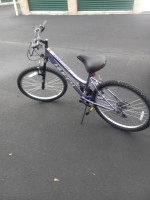 Women's bicycle