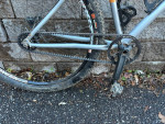 Raleigh XXiX, Medium, Belt Drive, Hope wheels