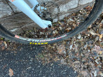 Raleigh XXiX, Medium, Belt Drive, Hope wheels