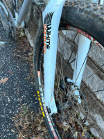 Raleigh XXiX, Medium, Belt Drive, Hope wheels