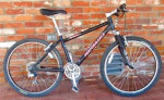 Performance M201 Mountain Bike