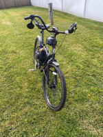 Santa Cruz Swits Freedom