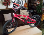 SALE/TRADE Kids igniter Moto 20 Bike never ridden!