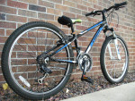 TREK MT 220 Kids Hardtail Mountain Bike Excellent Condition