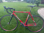 58cm CARBON Fork Felt Racing Road Bike Shimano Mavic