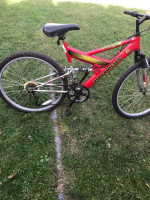 Power Roadmaster 26'' bike