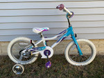 Giant Pudd’n 16 Girl’s 16” Bike Purple Teal White w/ Training Wheels