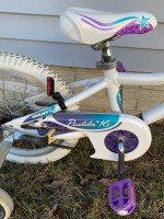 Giant Pudd’n 16 Girl’s 16” Bike Purple Teal White w/ Training Wheels