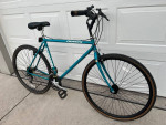 Schwinn Crossfit