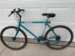 Schwinn Crossfit