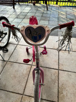 Disney Princess Girls' 12" Bike with Doll Carrier
