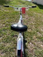 Blaster Beach Cruiser