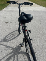 Raleigh USA Talon Bike for Tall Rider