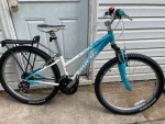 Two  Trek Skye Series bikes