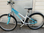 Two  Trek Skye Series bikes