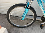 Two  Trek Skye Series bikes