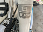 Two  Trek Skye Series bikes