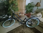 bicycle great deal great ride