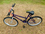 Women’s Roadmaster Hurricane Ridge Mountain Bike