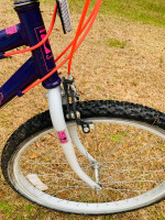Women’s Roadmaster Hurricane Ridge Mountain Bike