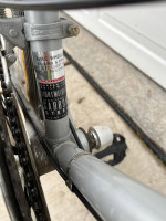 Schwinn World Tourist
