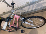 Raleigh bicycle